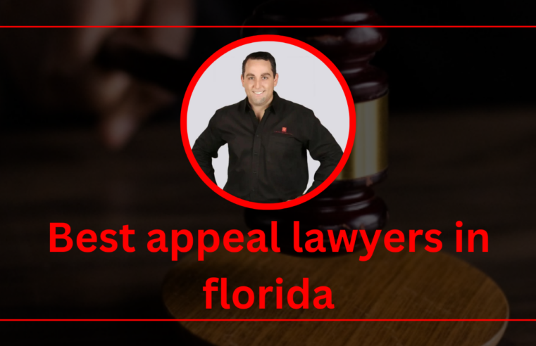 A Guide to Choosing the Best appeal lawyer in Florida